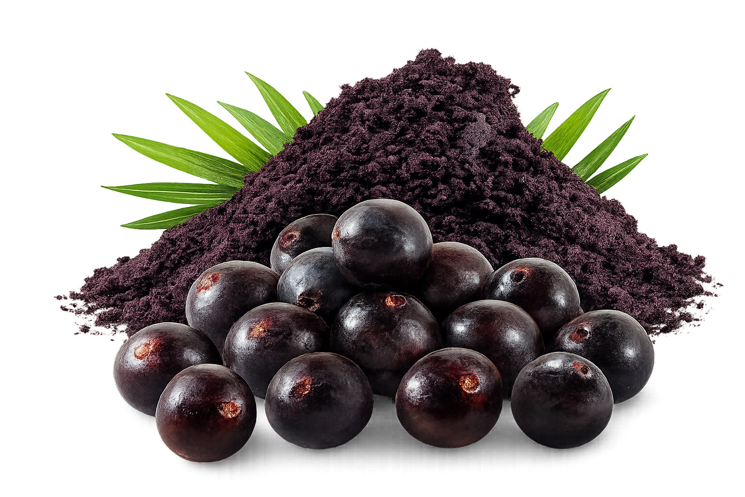 Açaí Liofilizado
